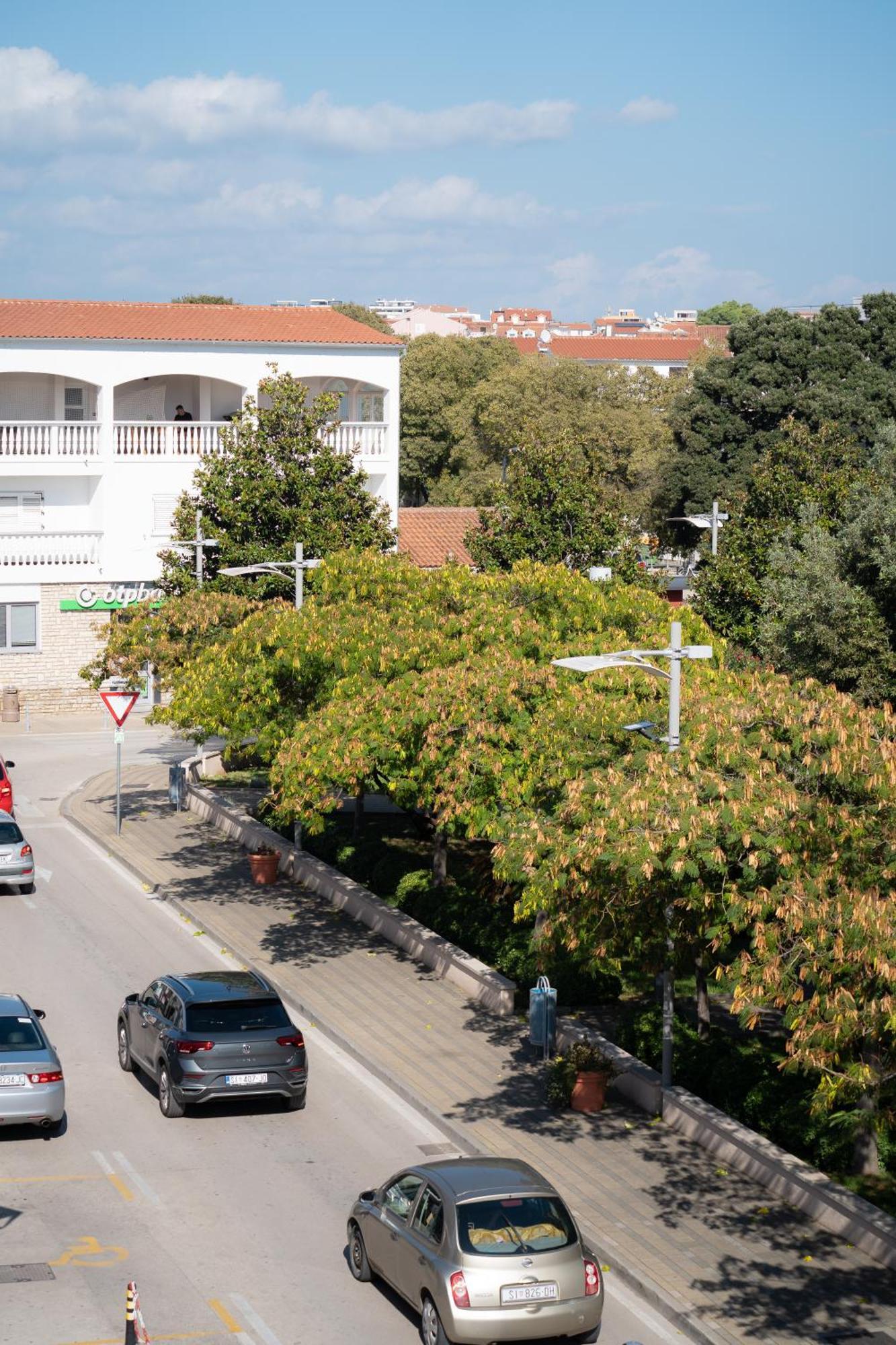 Apartments Centar Vodice Eksteriør bilde