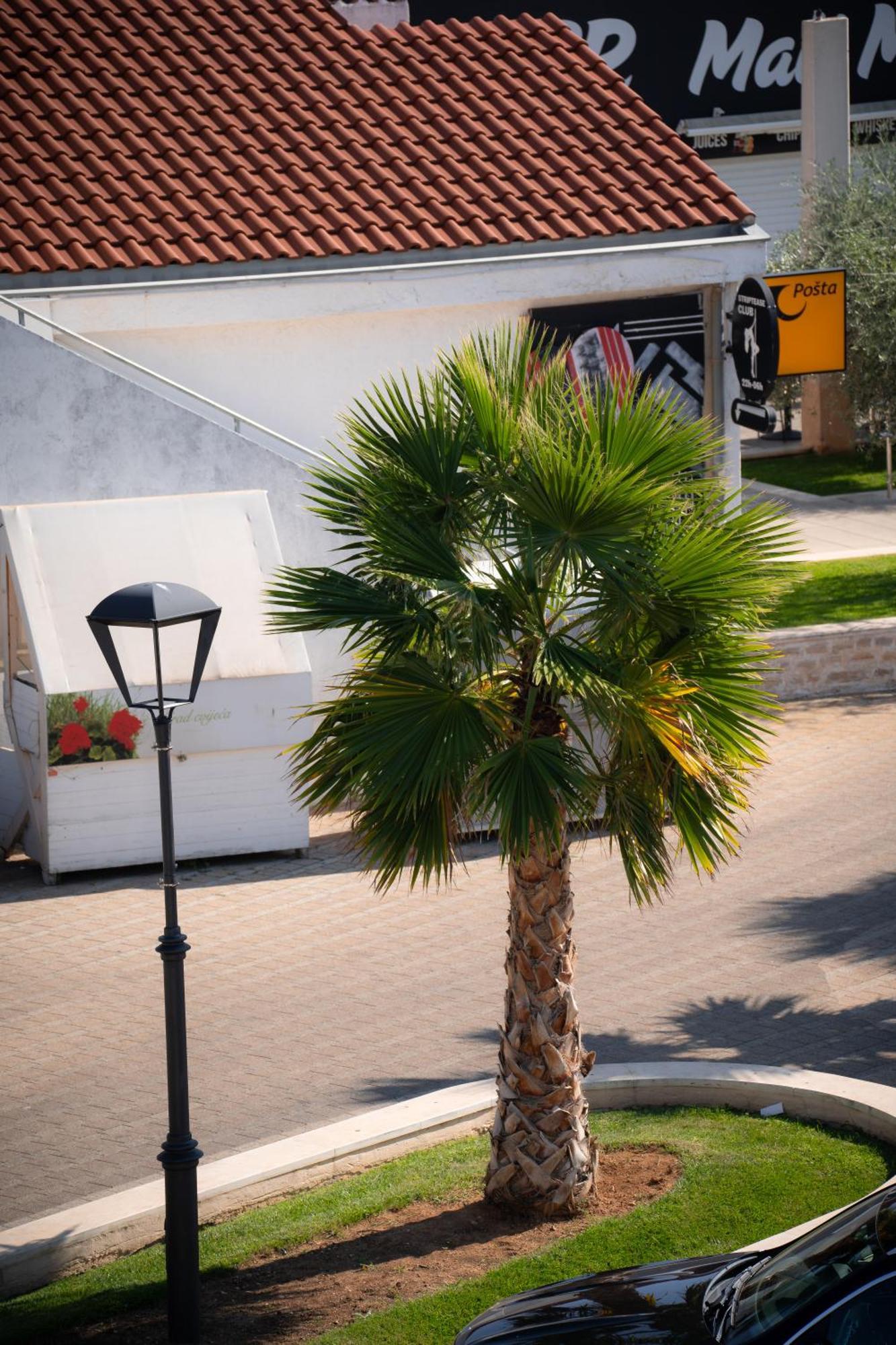 Apartments Centar Vodice Eksteriør bilde